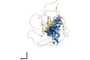 Protein Structure (PS) image for Synaptojanin 2 (SYNJ2) (AA 1-1496) protein (His tag) (ABIN7555678)