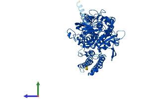 AlphaFold protein structure predicition of Human Recombinant NAALADL1 Protein, UniprotID Q9UQQ1