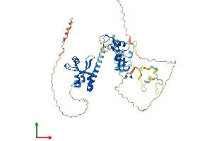 AlphaFold protein structure predicition of Mouse Recombinant Phf10 Protein, UniprotID Q9D8M7 (PHF10 Protein (AA 1-497) (His tag))