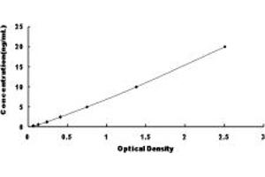 Typical standard curve (NBC4 ELISA Kit)