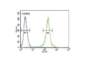 Flow cytometric analysis of 293 cells (right histogram) compared to a negative control cell (left histogram). (AMH antibody  (AA 424-451))