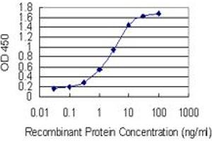 Detection limit for recombinant GST tagged SPRR4 is 0. (SPRR4 antibody  (AA 1-79))