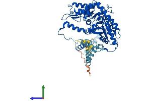 Protein Structure (PS) image for Sphingosine-1-Phosphate Lyase 1 (SGPL1) (AA 1-568) protein (His tag) (ABIN7546018)