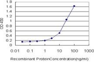 Detection limit for recombinant GST tagged STEAP1 is approximately 0. (STEAP1 antibody  (AA 1-339))