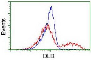 Image no. 4 for anti-Dihydrolipoamide Dehydrogenase (DLD) antibody (ABIN1497847) (DLD antibody)
