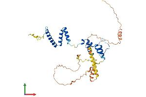 AlphaFold protein structure predicition of Mouse Recombinant Fbxo16 Protein, UniprotID Q9QZM9