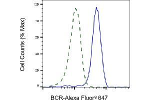 Validation of BCR knockdown using flow cytometry. (Recombinant BCR antibody)