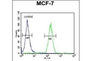 THOC7 Antibody (C-term) (ABIN1881883 and ABIN2843119) flow cytometric analysis of MCF-7 cells (right histogram) compared to a negative control cell (left histogram). (THOC7 antibody  (C-Term))