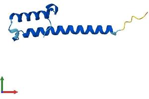 Protein Structure (PS) image for Chromosome 16 Open Reading Frame 61 (C16orf61) (AA 1-79) protein (Fc Tag) (ABIN7559464)