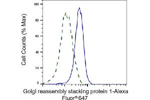 Validation of Golgi reassembly stacking protein 1 knockdown using flow cytometry.
