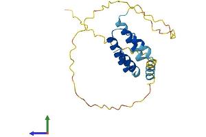 AlphaFold protein structure predicition of Human Recombinant CT45A7 Protein, UniprotID P0DMV0