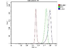 Flow Cytometry analysis of Daudi cells using anti-CD86 antibody (ABIN7601925).
