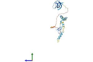 AlphaFold protein structure predicition of Mouse Recombinant Nebl Protein, UniprotID Q9DC07 (Nebulette Protein (NEBL) (AA 1-270) (His tag))