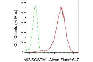 Flow cytometric analysis of p62/SQSTM1 expression in HepG2 cells using p62/SQSTM1 antibody (ABIN7800298), 1:2,000). (Recombinant SQSTM1 antibody)