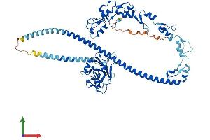 Protein Structure (PS) image for TNF Receptor-Associated Factor 3 (TRAF3) (AA 1-568) protein (His tag) (ABIN7555851)