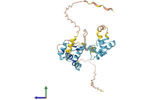 AlphaFold protein structure predicition of Human Recombinant ZNF346 Protein, UniprotID Q9UL40