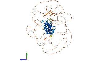 AlphaFold protein structure predicition of Mouse Recombinant Kmt5b Protein, UniprotID Q3U8K7 (SUV420H1 Protein (AA 1-883) (His tag))