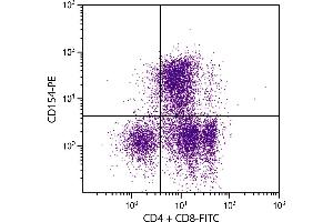 PMA and ionomycin stimulated BALB/c mouse splenocytes were stained with Hamster Anti-Mouse CD154-PE. (CD40 Ligand antibody  (PE))