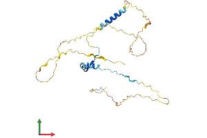 Protein Structure (PS) image for Coiled-Coil Domain Containing 117 (CCDC117) (AA 1-277) protein (His tag) (ABIN7558032)