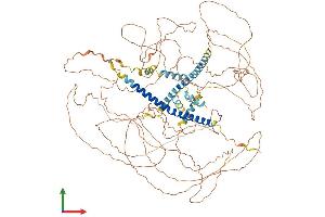 AlphaFold protein structure predicition of Human Recombinant MAML1 Protein, UniprotID Q92585