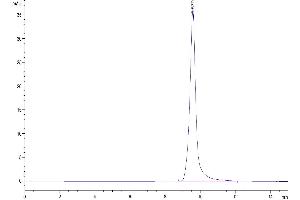 Size-exclusion chromatography-High Pressure Liquid Chromatography (SEC-HPLC) image for Ectonucleotide pyrophosphatase/phosphodiesterase 3 (ENPP3) (AA 48-157) protein (His-Avi Tag,Biotin) (ABIN7274541)