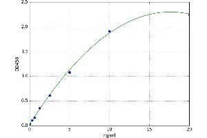 Lysyl Oxidase (LOX) ELISA Kit