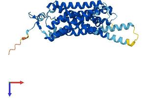 AlphaFold protein structure predicition of Mouse Recombinant Taar8a Protein, UniprotID Q5QD07 (TAAR8A Protein (AA 1-344) (His tag))