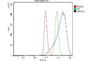 Flow Cytometry analysis of A549 cells using anti-SH2D4A antibody (ABIN7601695). (SH2D4A antibody  (AA 42-454))