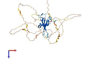 AlphaFold protein structure predicition of Human Recombinant PRR30 Protein, UniprotID Q53SZ7 (PRR30 Protein (AA 1-412) (His tag))