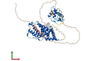 AlphaFold protein structure predicition of Mouse Recombinant Nr6a1 Protein, UniprotID Q64249