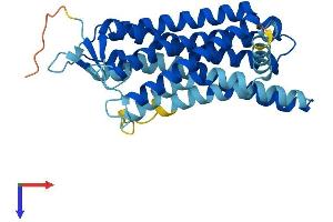 AlphaFold protein structure predicition of Human Recombinant OR1B1 Protein, UniprotID Q8NGR6 (OR1B1 Protein (AA 1-318) (His tag))
