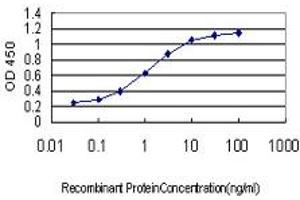 Detection limit for recombinant GST tagged AKT3 is approximately 0. (AKT3 antibody  (AA 100-189))