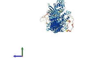AlphaFold protein structure predicition of Human Recombinant ZSWIM4 Protein, UniprotID Q9H7M6 (ZSWIM4 Protein (AA 1-989) (His tag))