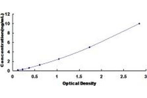Typical standard curve (Cyclin A1 ELISA Kit)