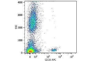 Surface staining of human peripheral blood cells with anti-human CD19 (LT19) APC. (CD19 antibody)