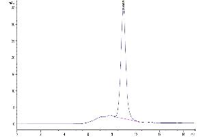 The purity of Human Kremen-2 is greater than 95 % as determined by SEC-HPLC. (KREMEN2 Protein (AA 26-364) (His tag))