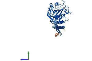 AlphaFold protein structure predicition of Human Recombinant SMPD2 Protein, UniprotID O60906