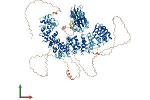AlphaFold protein structure predicition of Mouse Recombinant Ap3b1 Protein, UniprotID Q9Z1T1 (AP3B1 Protein (AA 1-1105) (His tag))