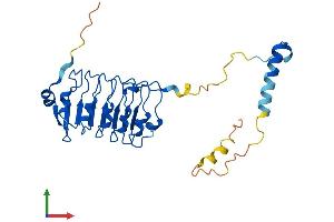 AlphaFold protein structure predicition of Mouse Recombinant Lrrc18 Protein, UniprotID Q9CQ07
