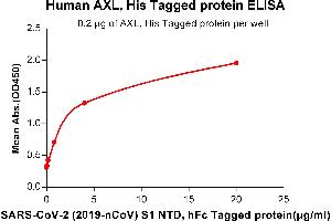 ELISA plate pre-coated by 2 μg/mL (100 μL/well) Human AXL, His tagged protein (ABIN6961128) can bind SARS-CoV-2 (2019-nCoV) S1 protein NTD, hFc Tagged protein(ABIN6961173) in a linear range of 0. (SARS-CoV-2 Spike S1 Protein (N-Term) (Fc Tag))