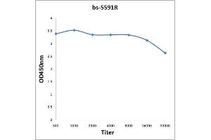 Antigen: 0. (YES1 antibody  (pTyr426))