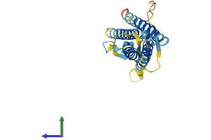 AlphaFold protein structure predicition of Human Recombinant CACNG1 Protein, UniprotID Q06432 (CACNG1 Protein (AA 1-222) (His tag))