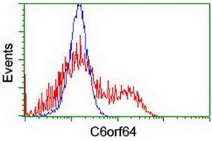 HEK293T cells transfected with either RC205273 overexpress plasmid (Red) or empty vector control plasmid (Blue) were immunostained by anti-C6orf64 antibody (ABIN2455752), and then analyzed by flow cytometry.
