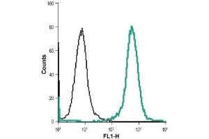 Cell surface detection of NHE1 in live intact THP-1 (human acute monocytic leukemia cells) cell line: (black line) Cells + goat anti-rabbit-DyLight-488. (SLC9A1 antibody  (1st Extracellular Loop))