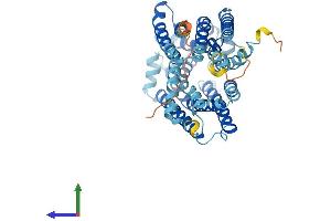 AlphaFold protein structure predicition of Mouse Recombinant Ankh Protein, UniprotID Q9JHZ2 (ANKH Protein (AA 1-492) (His tag))