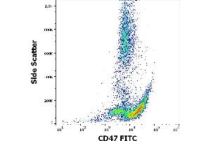 Flow cytometry surface staining pattern of human peripheral whole blood stained using anti-human CD47 (MEM-122) FITC antibody (20 μL reagent / 100 μL of peripheral whole blood). (CD47 antibody  (FITC))