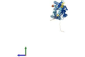 Protein Structure (PS) image for Neuropeptide Y Receptor Y2 (NPY2R) (AA 1-381) protein (His tag) (ABIN7556775)