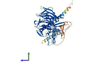 AlphaFold protein structure predicition of Mouse Recombinant Klhdc4 Protein, UniprotID Q921I2 (KLHDC4 Protein (AA 1-584) (His tag))