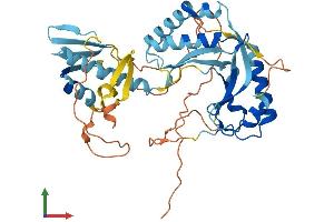 AlphaFold protein structure predicition of Human Recombinant ASCC1 Protein, UniprotID Q8N9N2 (ASCC1 Protein (AA 1-400) (His tag))
