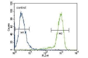 TRKA Antibody (Center) (ABIN392063 and ABIN2841826) flow cytometric analysis of Hela cells (right histogram) compared to a negative control cell (left histogram).
